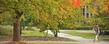 A Kent State student walks back to her residence hall and passes by some trees near Cunningham Hall.