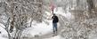 <p>Students walk to class near "lilac lane" behind Engleman Hall on a snowy day.</p>