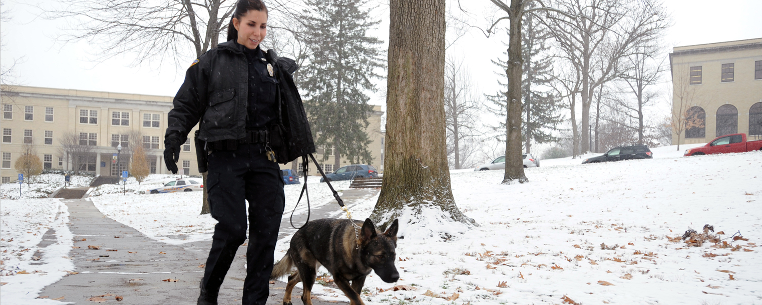 Kent State Police Officer Anne Spahr walks on campus with Coco, the department’s first police dog.