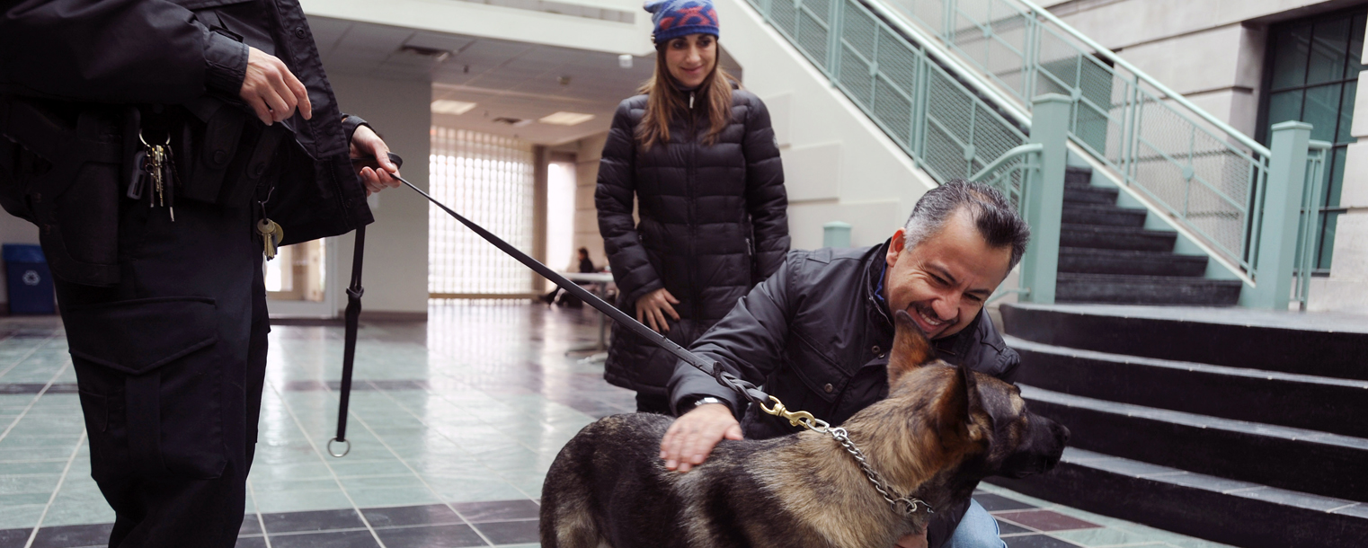 In addition to detecting explosives, conducting searches and tracking, Coco is an ambassador for the Kent State Police Department.