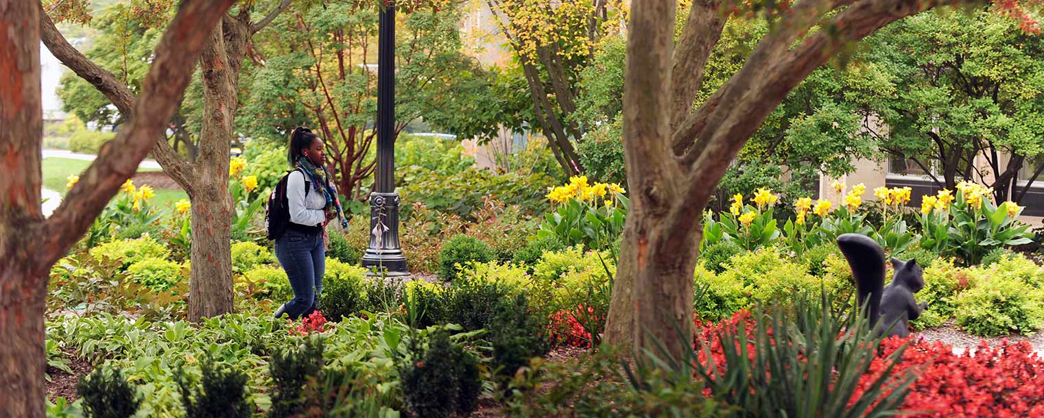 A Kent State student passes through a colorful scene in the Murin Gardens near the library.
