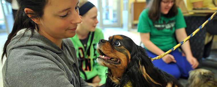 A Kent State student gets to know a dog during the Stress-Free Zone event held in the lobby of the library during finals week.