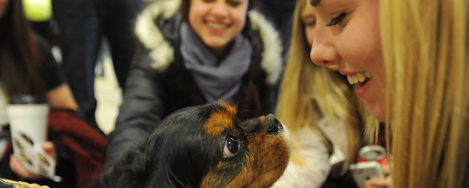 A Kent State student smiles at a therapy dog during the Stress-Free Zone event in the University Library during finals week.