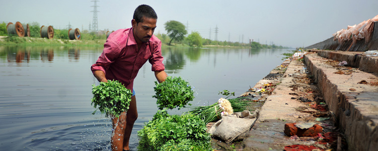 The Yamuna is a holy river that runs just outside of Delhi in which many people bathe and wash clothes and food. Due to the different activities that take place along the banks of and in the river, the level of sanitation has sharply declined. (Photo by Kristin Bauer)