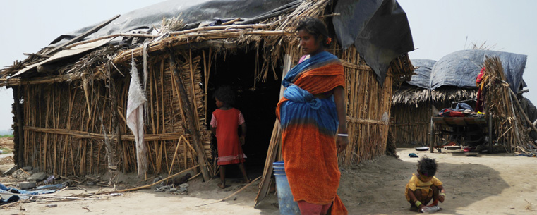 The Devi family works on a South Delhi farm growing vegetables. The children work and aid their parents and extended family on various tasks on the farm.(Photo provided by Kristin Bauer)