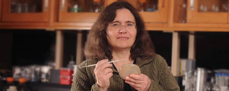 <p>Laura Leff, professor and assistant chair of Kent State's Department of Biological Sciences, pictured here in a campus lab.</p>