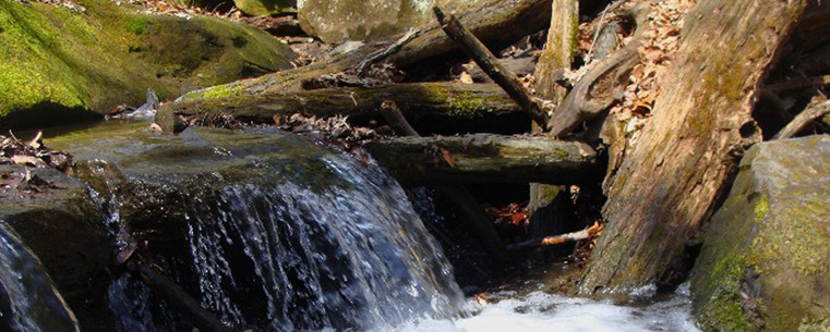 This photo of Beach City Falls was entered in the contest by Kent State University at Stark student Courtney Banta.