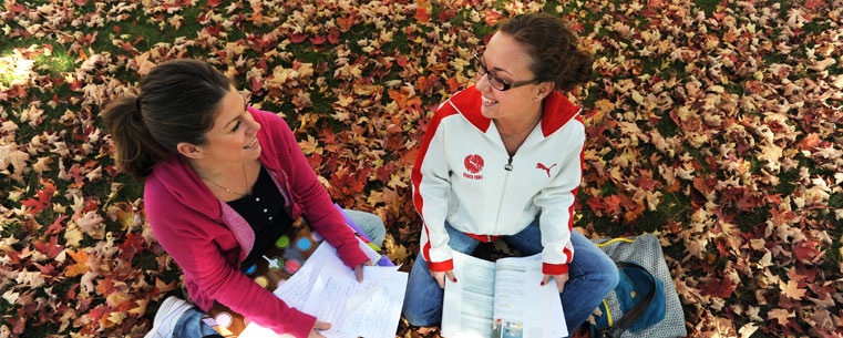 Classmates take advantage of fall weather and scenery while they prepare for an upcoming test.