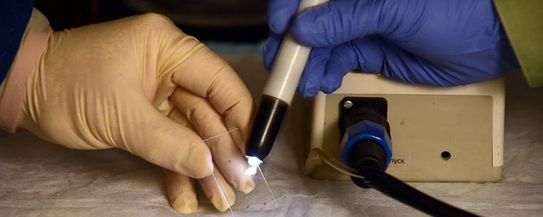 Kent State Professor Christopher Woolverton, Ph.D., and graduate student James Ferrell expose samples to high intensity light as part of their research.