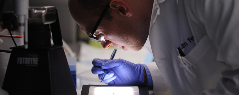 A Kent State graduate student works in a lab.