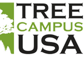 leads Tree Campus USA