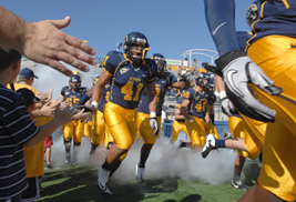 ”Golden Flashes