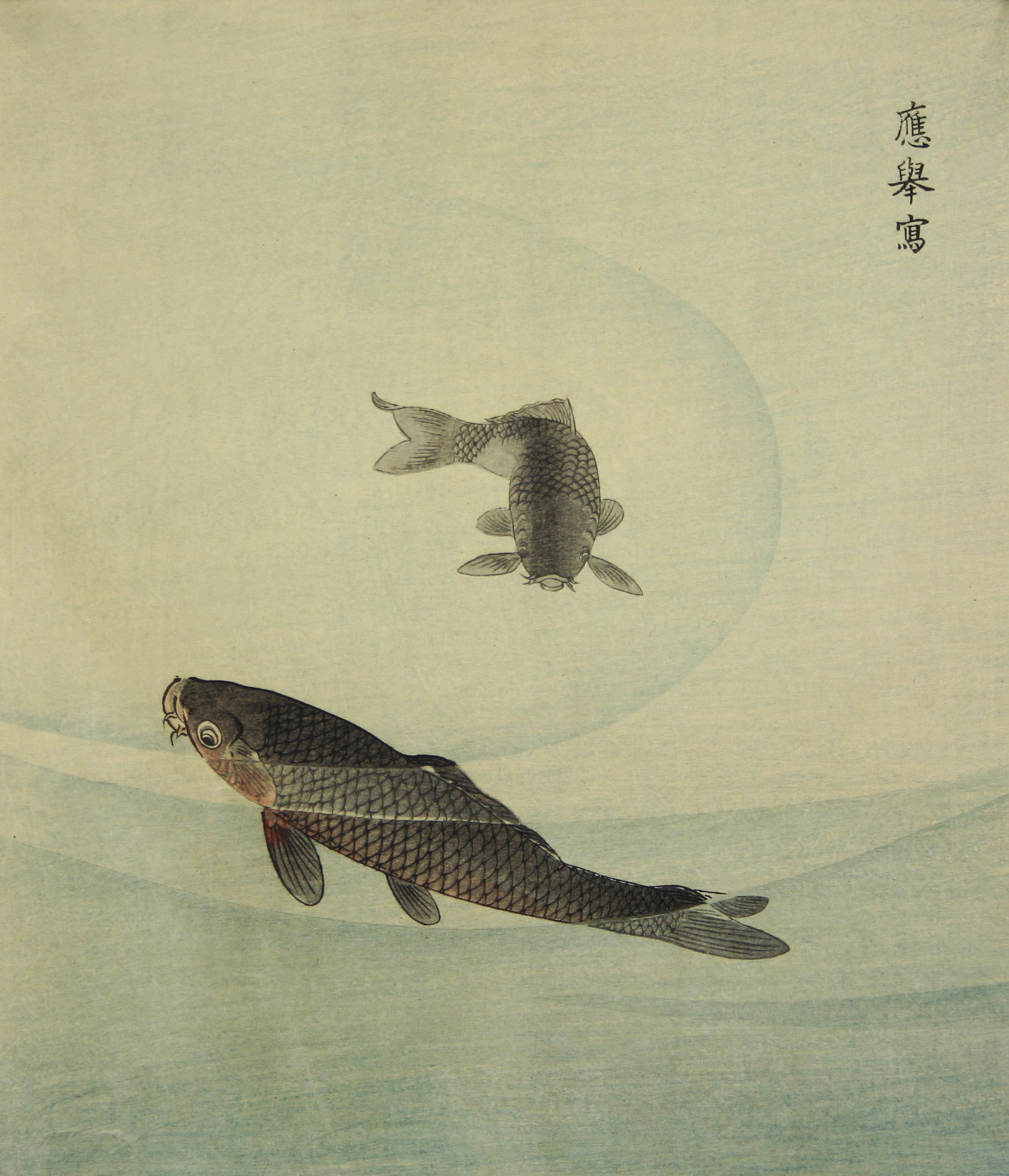 Photo of Two Carp Japanese Print exhibit