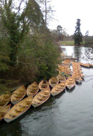 Row boats resting along the shore at Bois de Boulogne