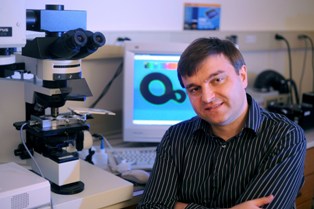 Dr. Ivan Smalyukh is a recipient of the prestigious Presidential Early Career Award for Scientists and Engineers and was honored by President Barack Obama at the White House. Pictured at Kent State University’s Liquid Crystal Institute during a recent visit, Smalyukh is a Kent State graduate and former researcher at the university. 